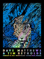 VARIANT Dave Matthews Tim Reynolds AP